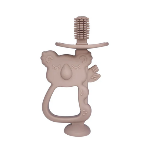 Beissring Koala