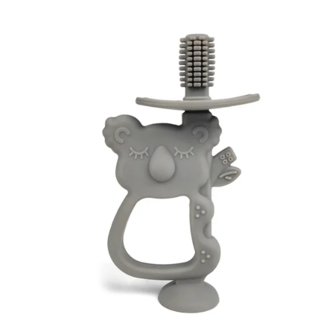 Beissring Koala
